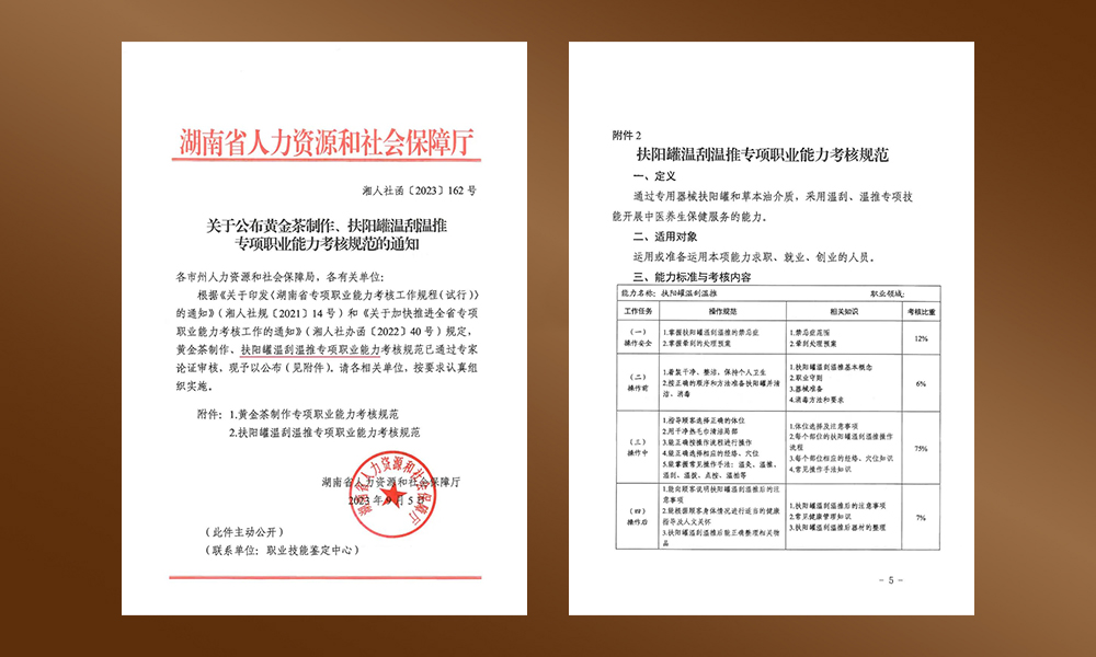 湖南省人社厅发布扶阳罐温刮温推专项职业能力考核规范