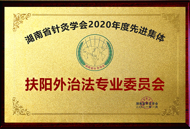 湖南省针灸学会2020年度先进集体