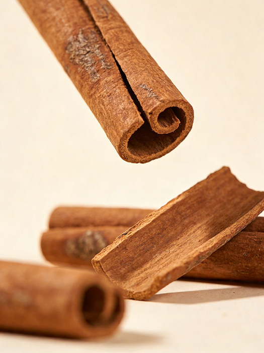 肉桂 · 命门之火